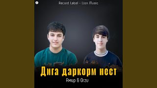 Дига даркорм нест - Амир, Orzu