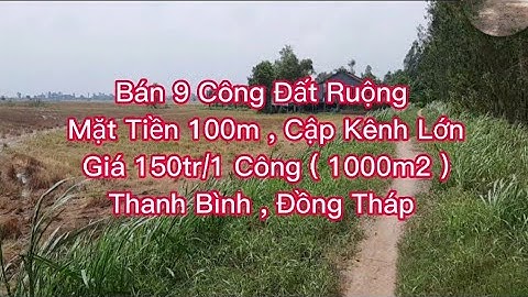 Bán 9 Công (9000m2) Đất Ruộng Mặt Tiền 100m , Cập Kênh Lớn | Giá 150tr/1 Công | Thanh Bình,Đồng Tháp