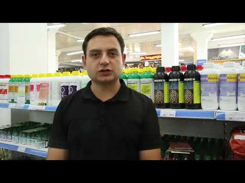 ბიო პრეპარატები გორგიაში - ავთო