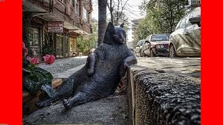 Viral Breakthrough: GOOGLE'S AI CHATBOT EXPLOSION