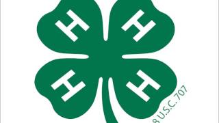 4-H Oral History Interview - B. Stankey, Wisconsin