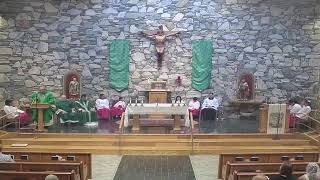 Sunday, June 28, 2026, 11:00 AM Mass