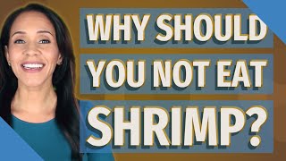 Why should you not eat shrimp?