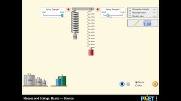 Masses and Springs: Basics - Bounce