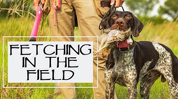 Trained Retrieve Step 21 - Fetching In The Field