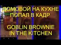 GOBLIN BROWNIE IN THE KITCHEN /// ДОМОВОЙ НА КУХНЕ НА ФОТО