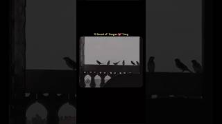 song-rangez✨🦋 #lyricsong #song #trendingshorts #ytshorts