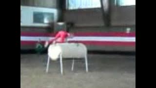 Voltii Julia Einzel A.wmv