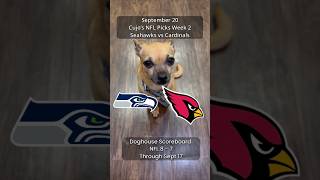 Cujo’s NFL Picks | Seattle