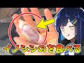 イノシシの睾丸を味わう