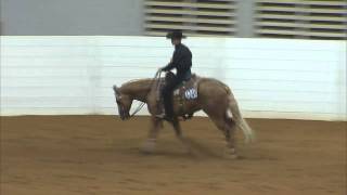 Jack Medows & Wimpys Show Stopper - 2011 Congress NYATT Reining Champion