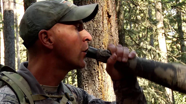 Corey Jacobsen's Elk Calling Basics