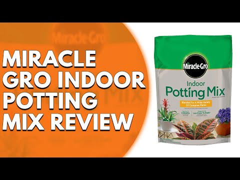 Miracle-Gro Indoor Potting Mix Review: A Comprehensive Review (Pros and  Cons Discussed) - YouTube
