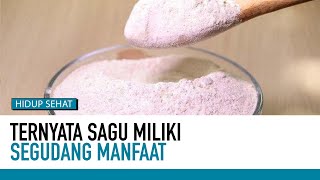 Tak Banyak Orang Tahu, Inilah Khasiat Ajaib Sagu | Nutrisi Alami