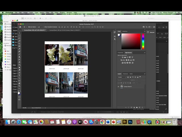 Workflow:  Creating a Contact Sheet in Adobe Bridge