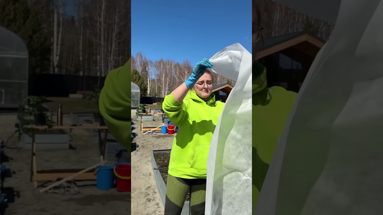 У вас получится базилик! Зная эти советы