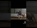 Lower leg kinda ate #equestrian #lowerleg #riding #gucci