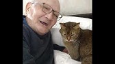 藤城清治先生と愛しのラビー Youtube 藤城清治先生と愛しのラビー Youtube