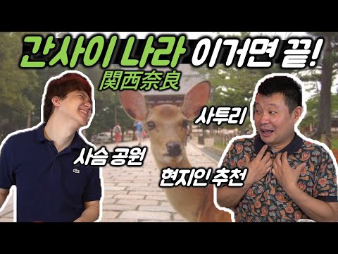 간사이출신인데 재미없는 사람이 있다?! 일본인도 절대 모르는 나라奈良의 모든것을 알아보자!