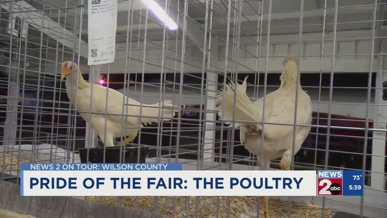 TN State Fair: Poultry Barn