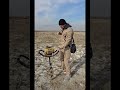 Выбираем земли для новой плантации. Работаем мотобуром. Берем землю на анализ...