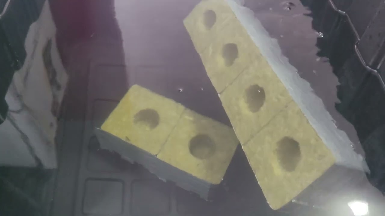 How I Soak Rockwool Cubes!