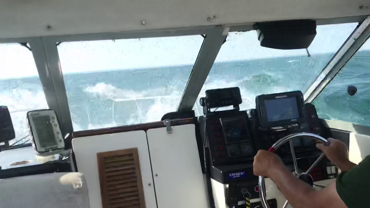 Lake Erie walleye chop!