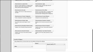 WordPress Widget Wizardry