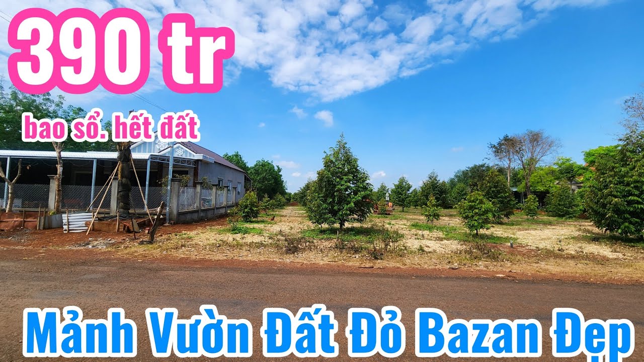 S.57.Bán Mảnh Vườn Đất đỏ bazan đẹp khu dân cư giá hợp lý (20x55x69)=2020m2 giá 390tr bao sổ 