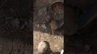 Что делать с затрубным пространством???