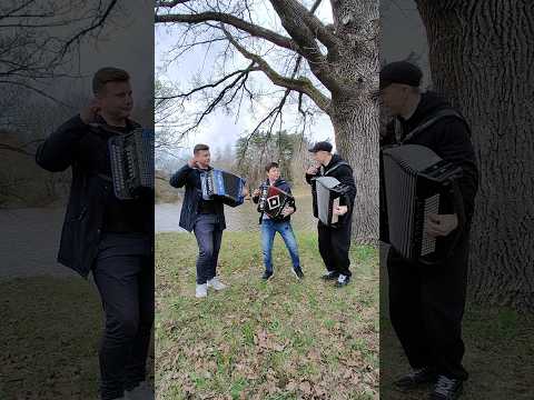 Трио бомба???🪗🔥😁 "Яблочко" на гармони @AndreyKirMusic @garmon_gosh #гармонь #баян #shorts