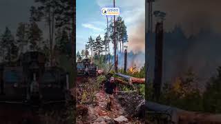 Extinguishing a forest fire 🚒