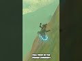 Link - The Skateboard God