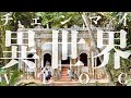 【チェンマイ🇹🇭】絶品地元グルメ&癒しのリトリート