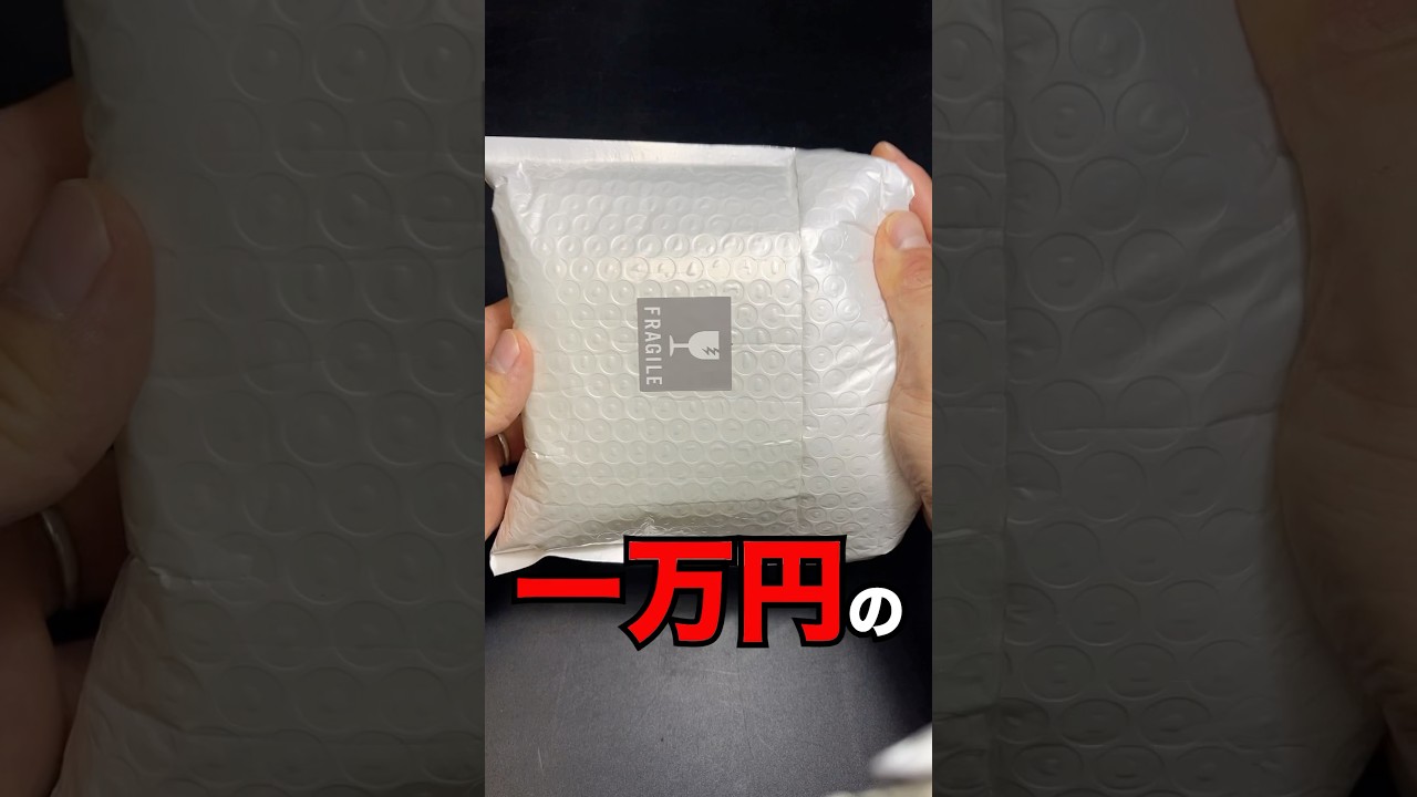10,000 yen specimen #insect - YouTube