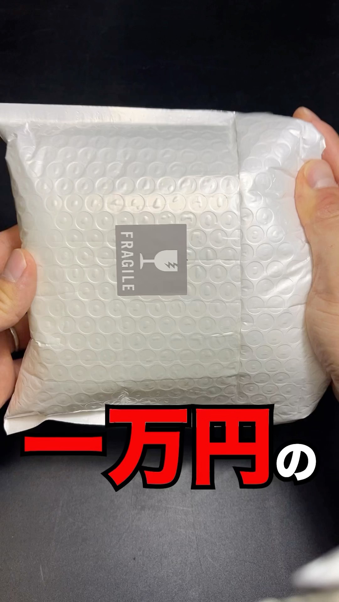 大型　メガララ　ガルーダバチ　標本 10,000 yen specimen #insect - YouTube