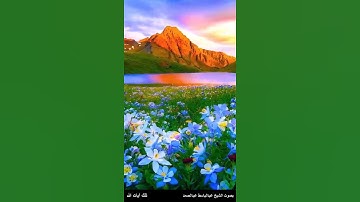 يا أيها الناس اعبدوا ربكم الذي خلقكم والذين من قبلكم .. - سورة البقرة آية 21 بصوت عبدالباسط عبدالصمد