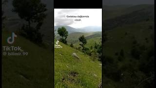 Gədəbəy Dağlarında Cüyur