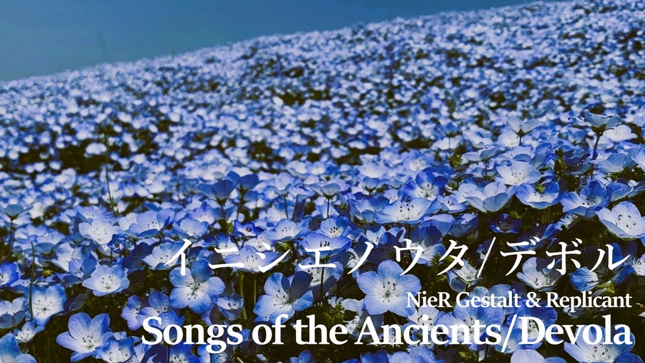 Egypt 古代人たち ナイルの真珠 全2冊セット 1991年 王妃ネフェルタリの墓: 古代エジプト文明の粋ここによみがえる