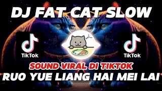 DJ FAT CAT SLOW REMIX | RUO YUE LIANG HAI MEI LAI VIRAL TIKTOK NEW 2024