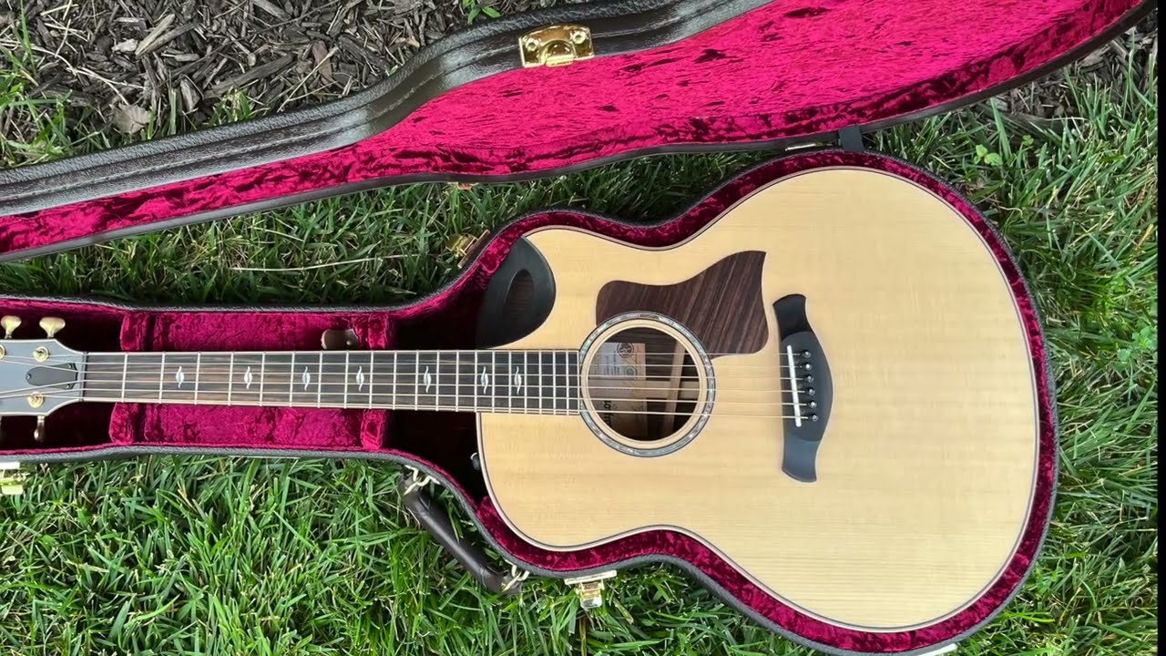 Taylor 816ce - Builders Edition (2021) Acoustic Guitar Demo - YouTube
