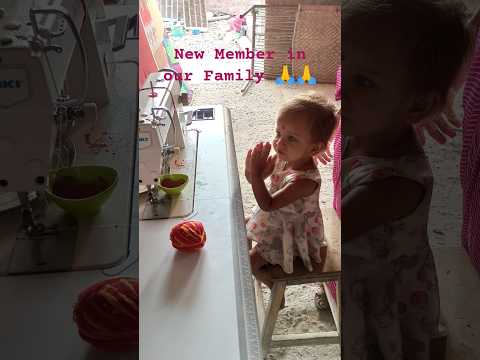 छोटी सी बच्ची का अनमोल संस्कार 🥺❤️ | Cute Baby Status #viral #shorts #instagram #cutebaby #funny by Lokesh Mosalpuri