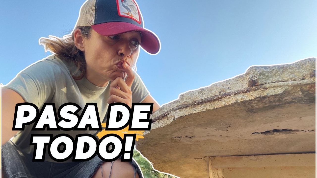 Accidente en la mesa. Me destrozan el maracuyá y construyo bordura de jardín con palets.  Vlog254