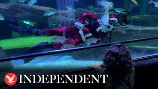 Scuba diving Santa surprises aquarium visitors in Brazil screenshot 1