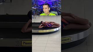 Try Not to Laugh Challenge 147 🤣 #funny #shorts #viral Try Not to Laugh Challenge 147 🤣 #funny #shorts #viral