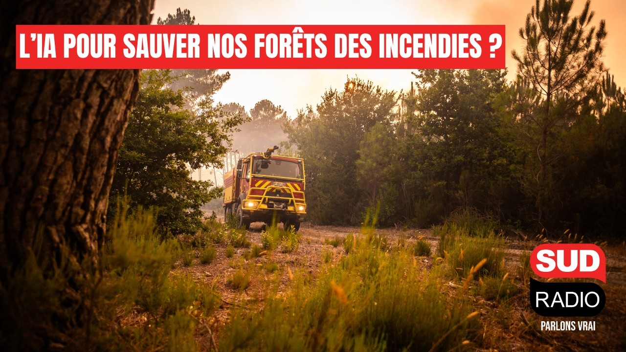Incendies : Un “écolo de droite enraciné” présente son Plan Forêt