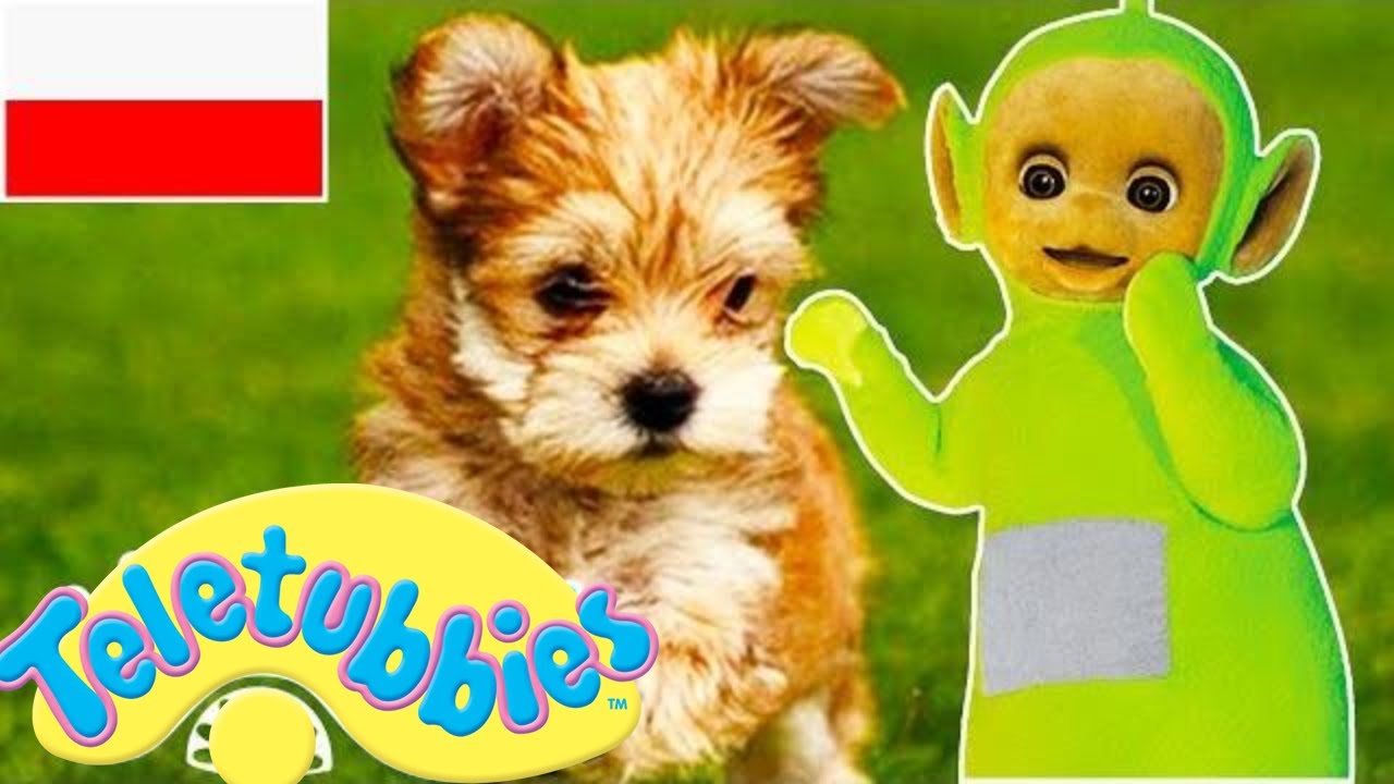 ☆ Teletubisie Po Polsku ☆ Kompilacja 1 godziny ☆ DOBRA JAKOŚĆ (pełne odcinki) | Bajki dla dzieci ☆