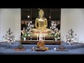 dhamma talk ajahn ni|eng