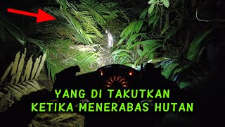 ALONE FOR 7KM THROUGH THE HAUNTED SERAYU FOREST TRAIL: AN INCREDIBLY CHILLING EXPERIENCE!