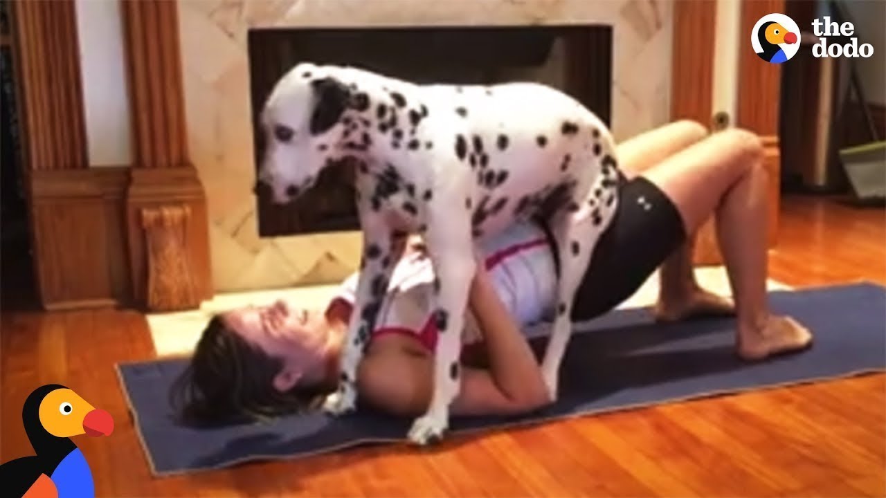 Retarded Dog Video